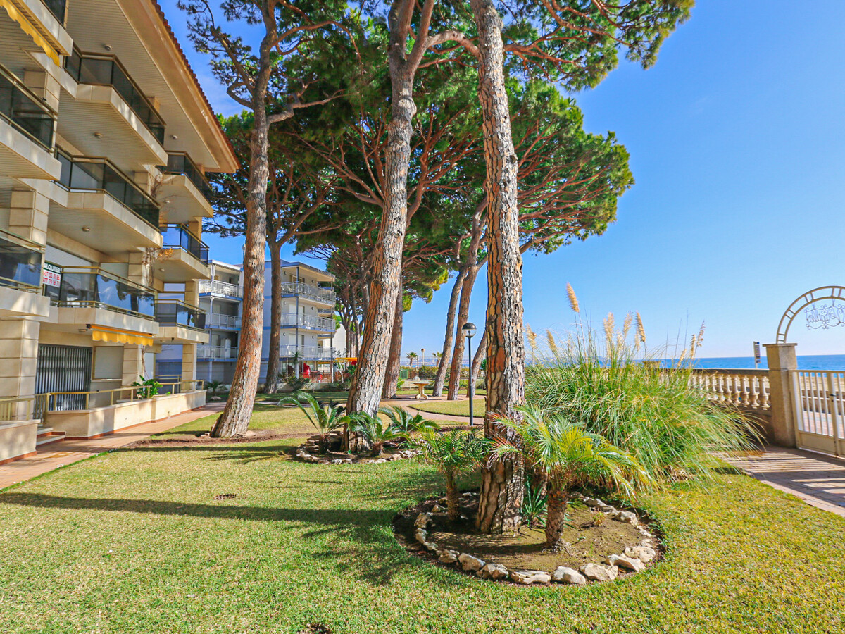 Appartement Versailles en première ligne de plage à Cambrils - Photo 7