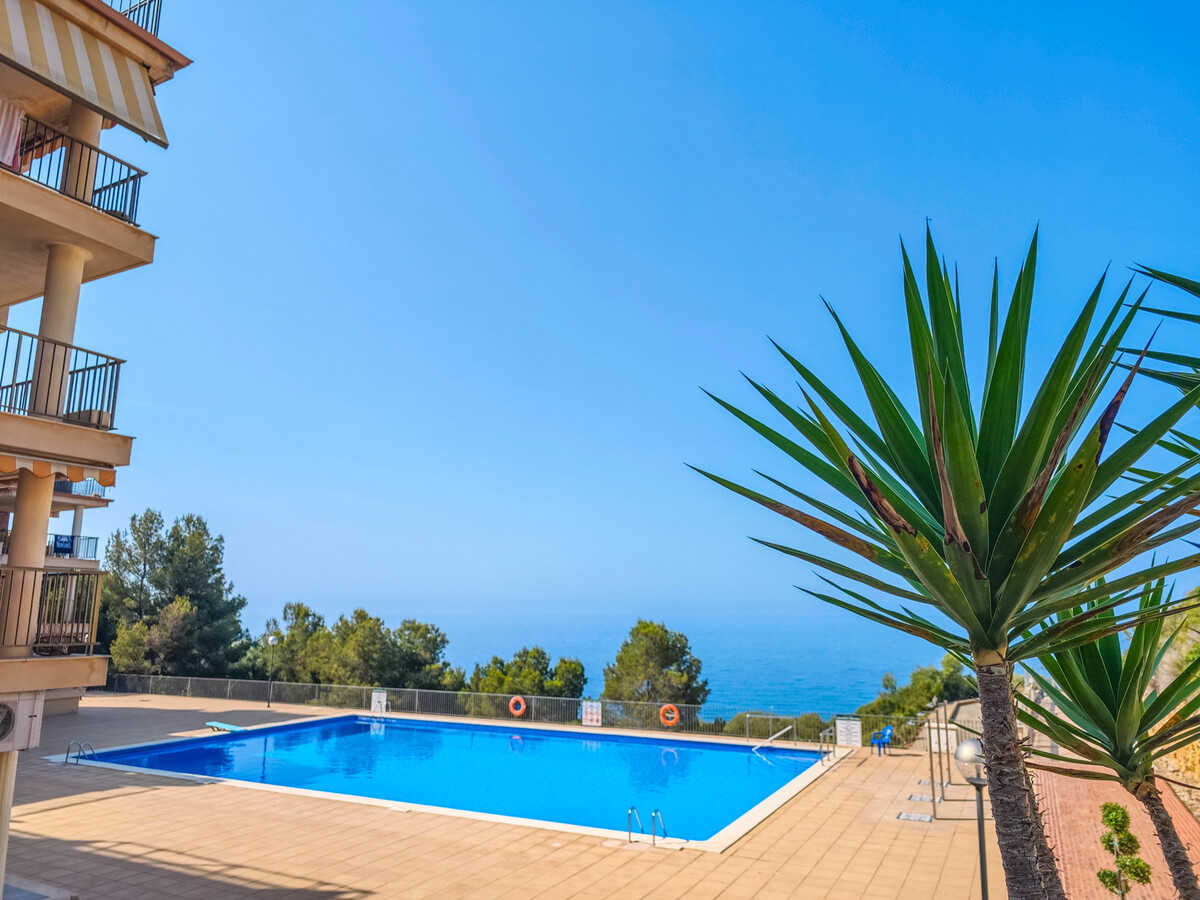 Cabo Palos : Appartement 5 pers, terrasse mer, 450 m plage - Photo 29
