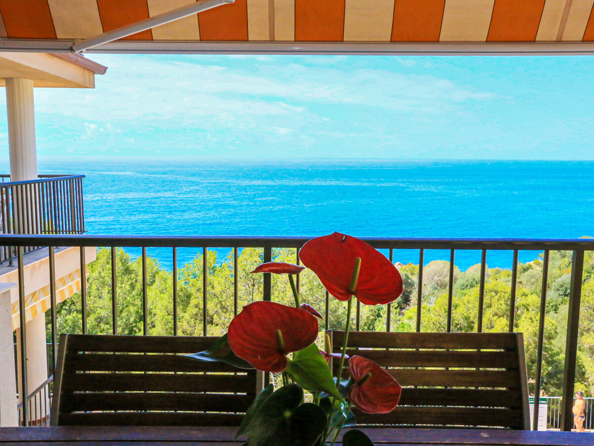 Cabo Palos : Appartement 5 pers, terrasse mer, 450 m plage - Photo 33