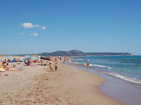 Appartement à 100 m de la plage, climatisé, animaux admis - Torroella : photo 9