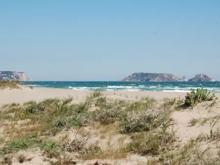 Appartement à 100 m de la plage, climatisé, animaux admis - Torroella : photo 21