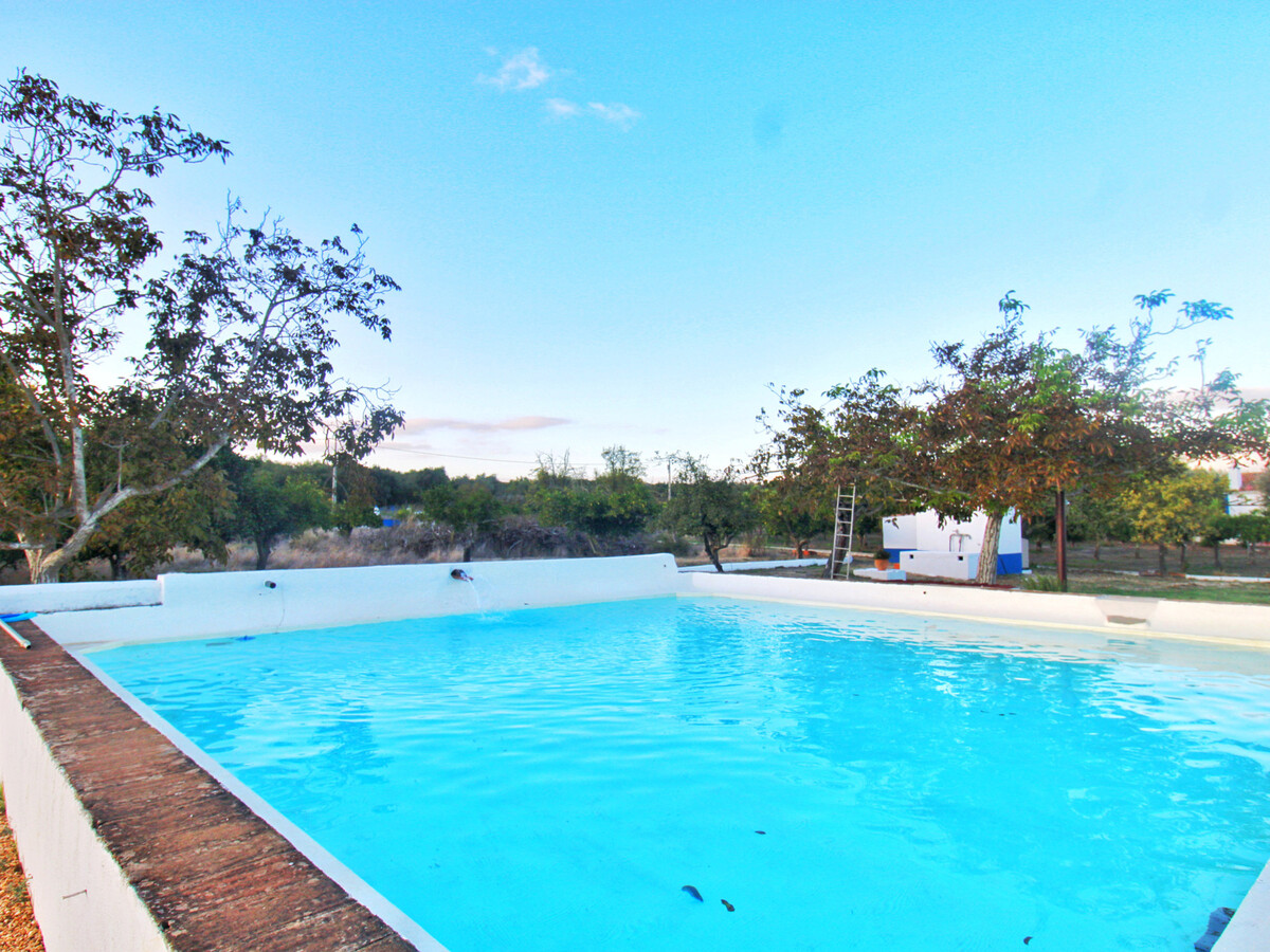 Gîte rustique 7 hectares à Alvito, piscine et terrasse - Photo 5