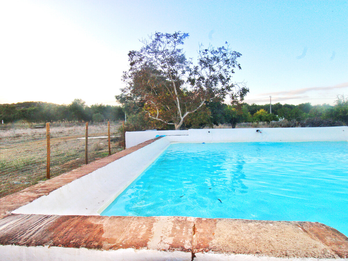 Gîte rustique 7 hectares à Alvito, piscine et terrasse - Photo 6