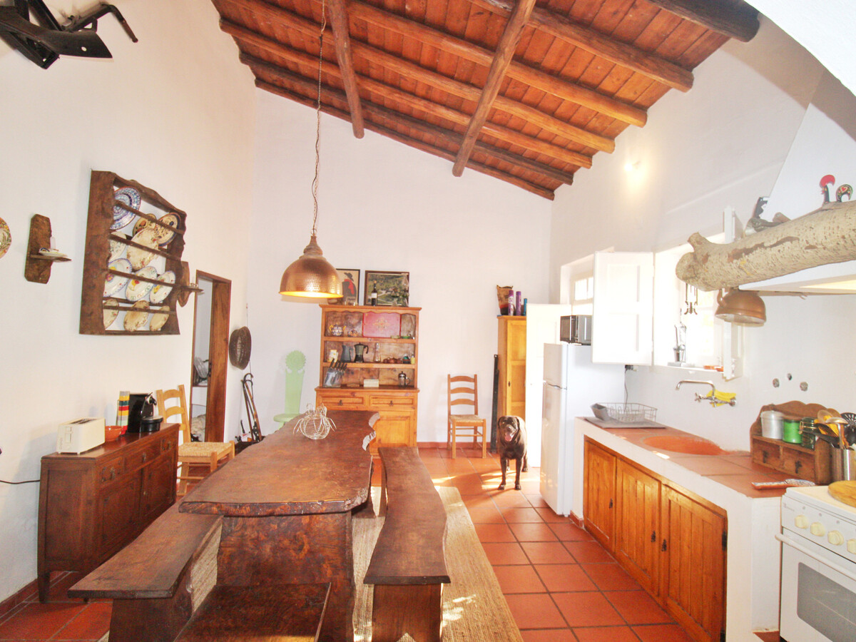 Gîte rustique 7 hectares à Alvito, piscine et terrasse - Photo 12