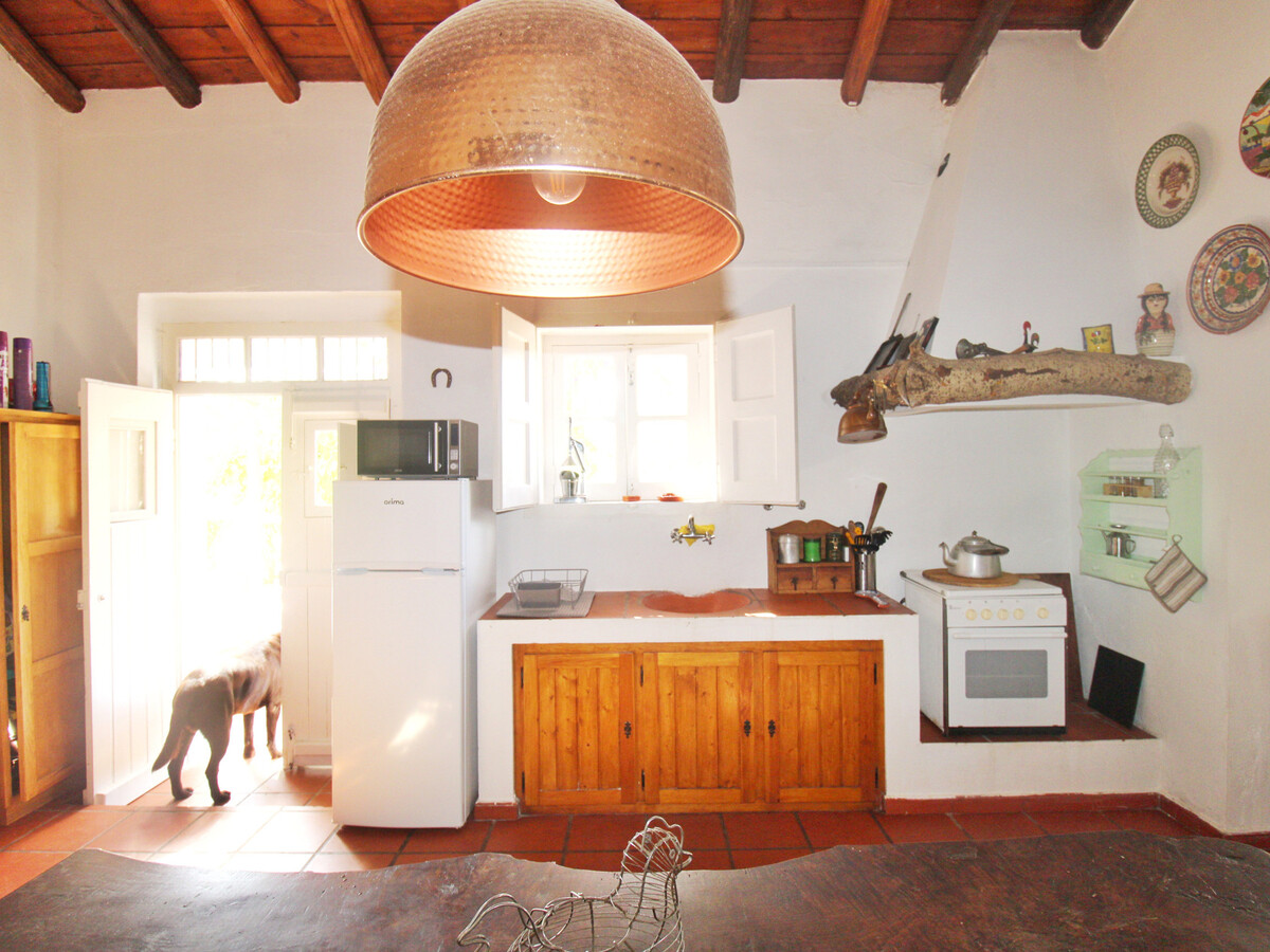 Gîte rustique 7 hectares à Alvito, piscine et terrasse - Photo 13