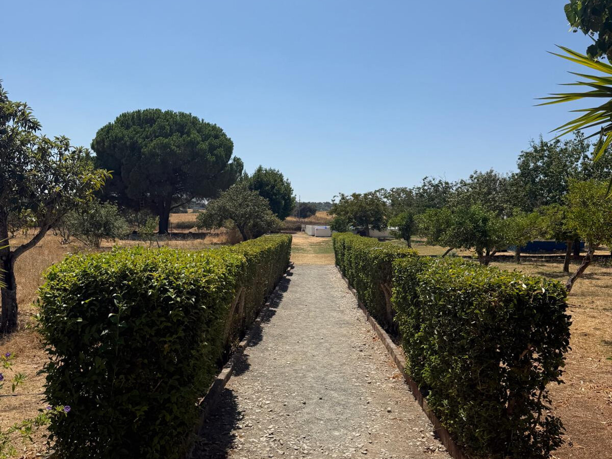 Gîte rustique 7 hectares à Alvito, piscine et terrasse - Photo 26