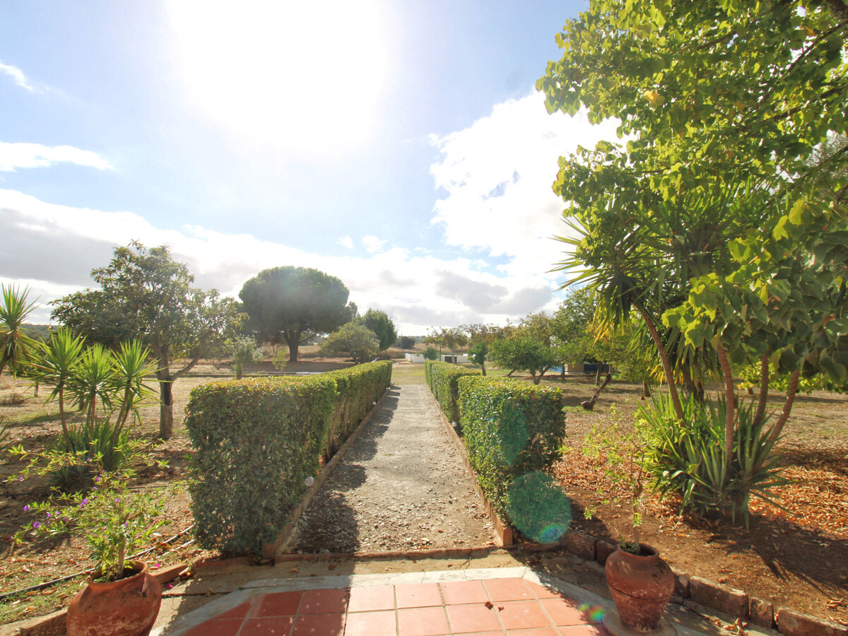 Gîte rustique 7 hectares à Alvito, piscine et terrasse - Photo 27