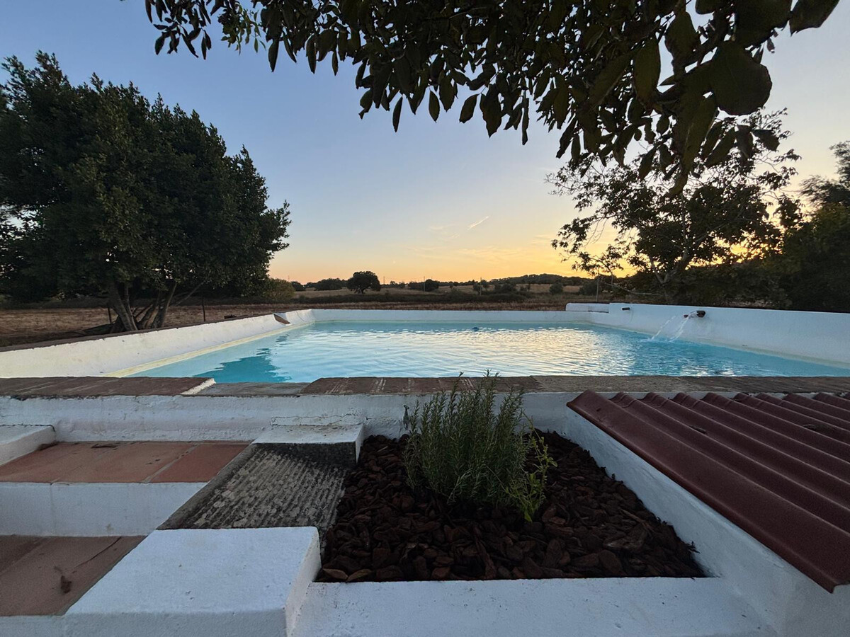 Gîte rustique 7 hectares à Alvito, piscine et terrasse - Photo 29