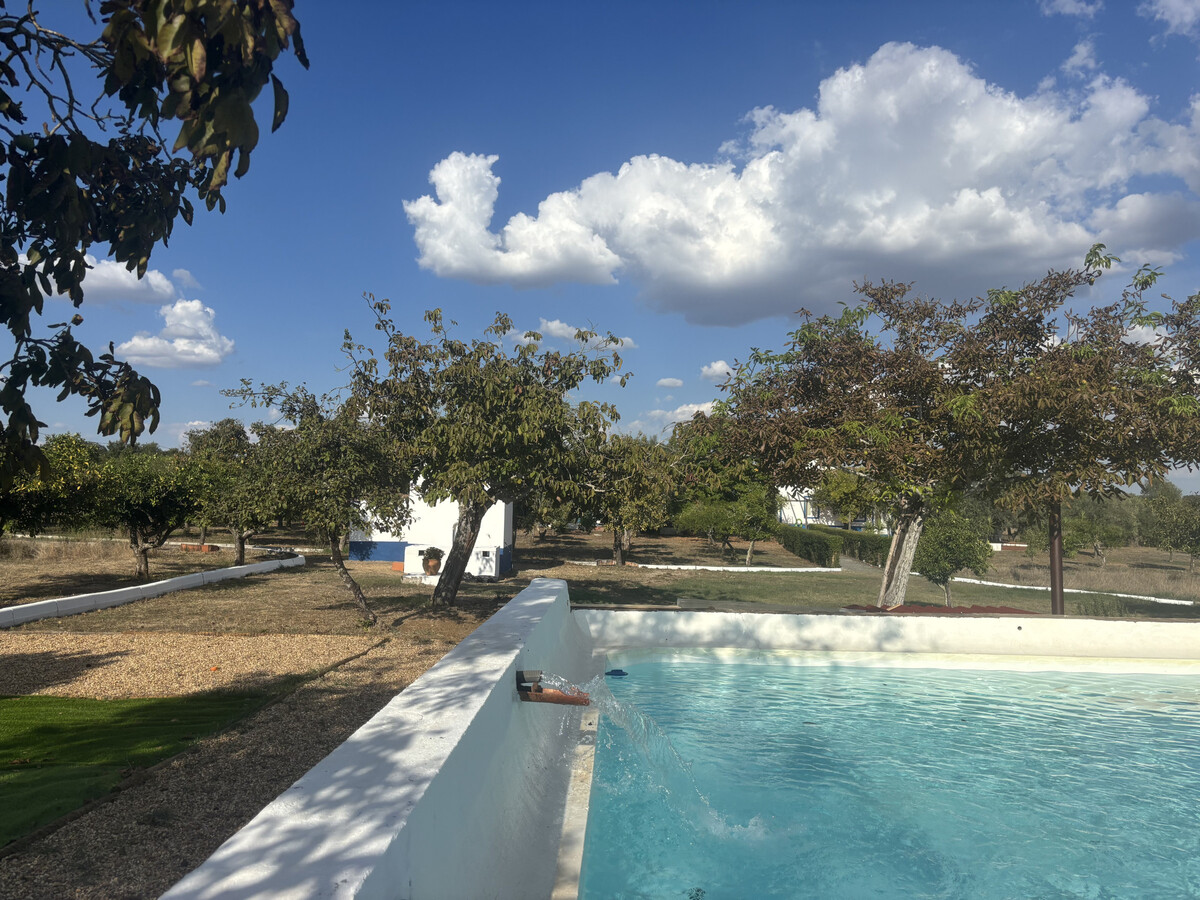 Gîte rustique 7 hectares à Alvito, piscine et terrasse - Photo 30