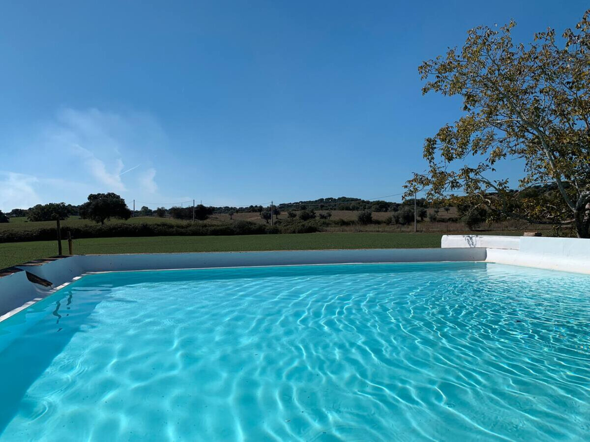Gîte rustique 7 hectares à Alvito, piscine et terrasse - Photo 31