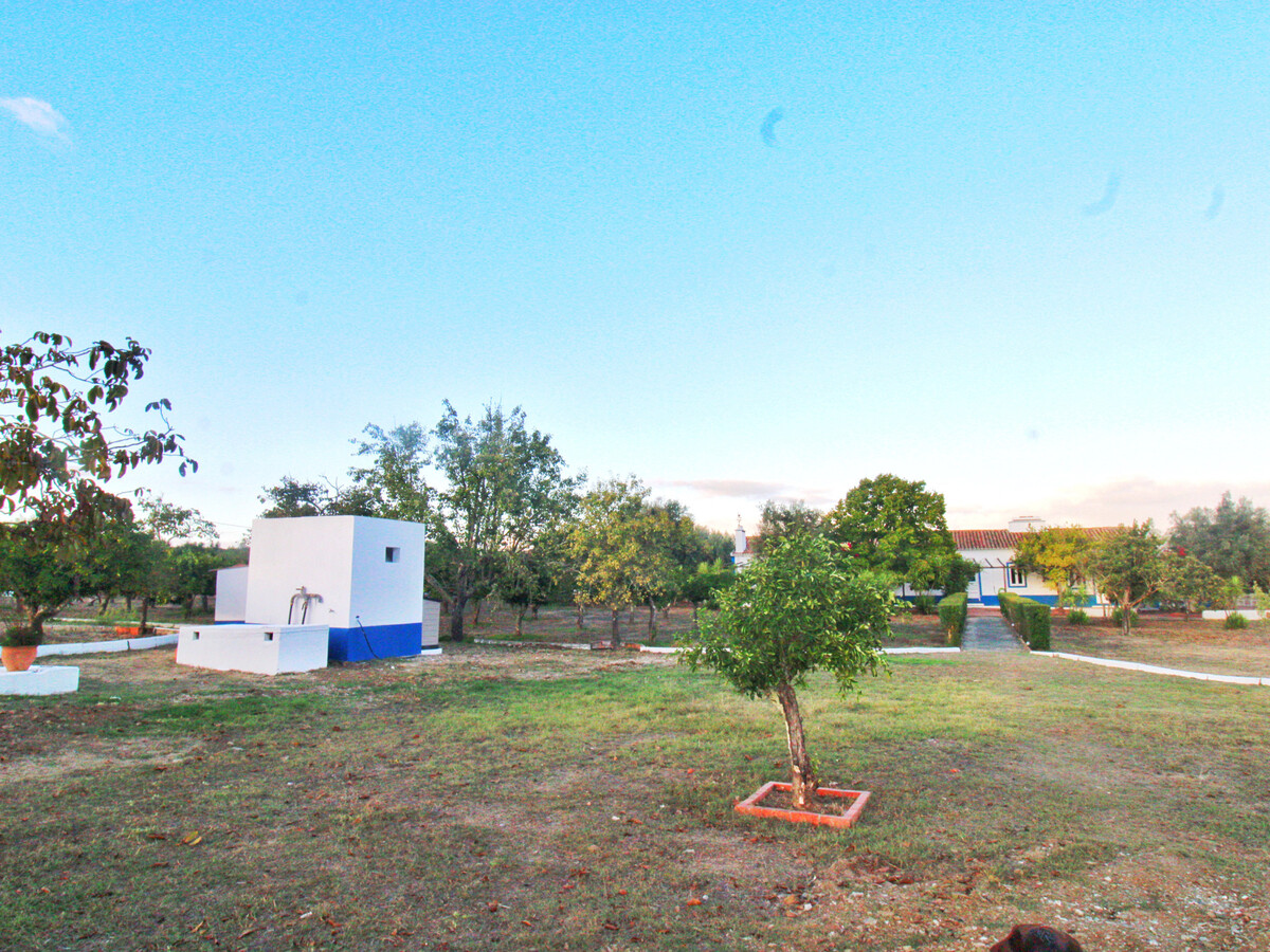 Gîte rustique 7 hectares à Alvito, piscine et terrasse - Photo 32