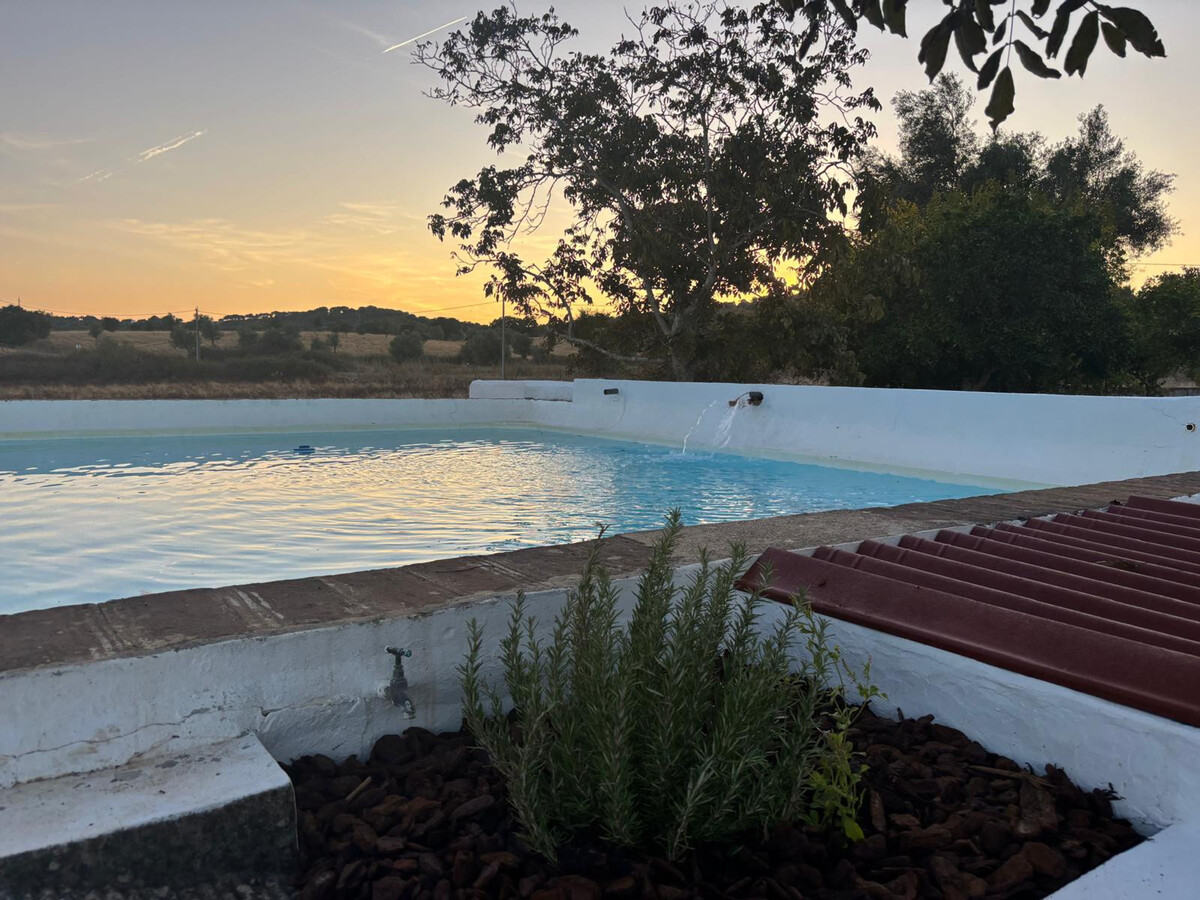 Gîte rustique 7 hectares à Alvito, piscine et terrasse - Photo 33