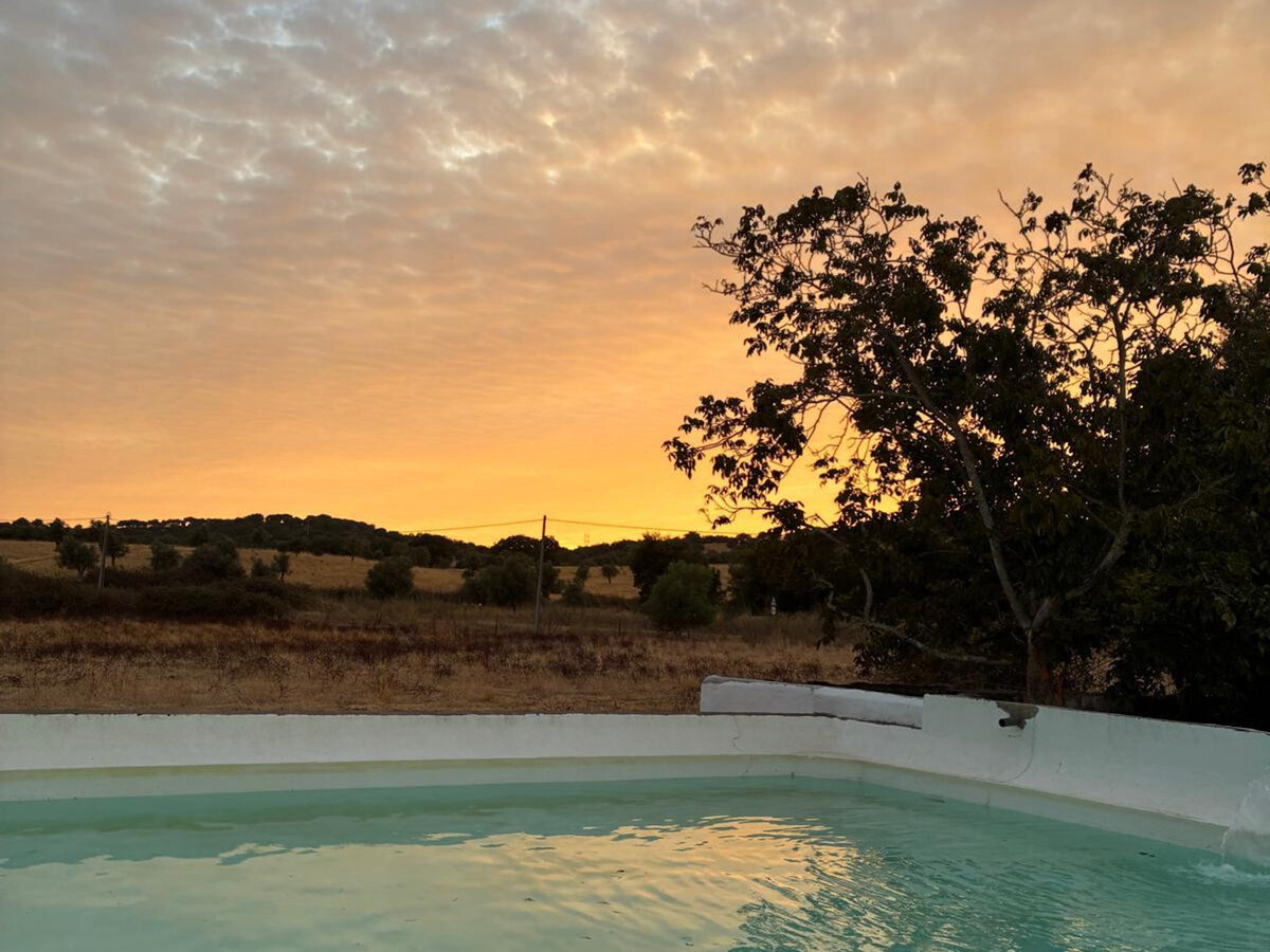 Gîte rustique 7 hectares à Alvito, piscine et terrasse - Photo 34