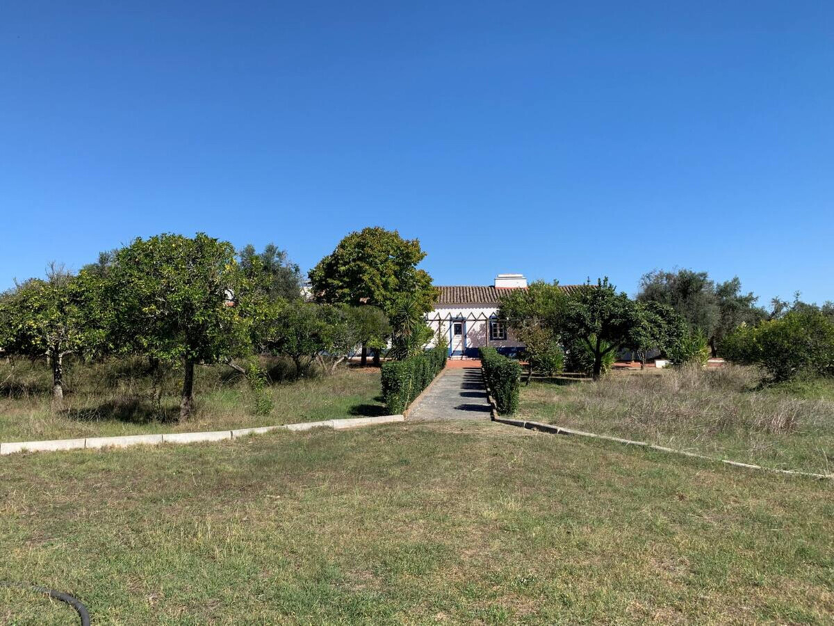 Gîte rustique 7 hectares à Alvito, piscine et terrasse - Photo 35