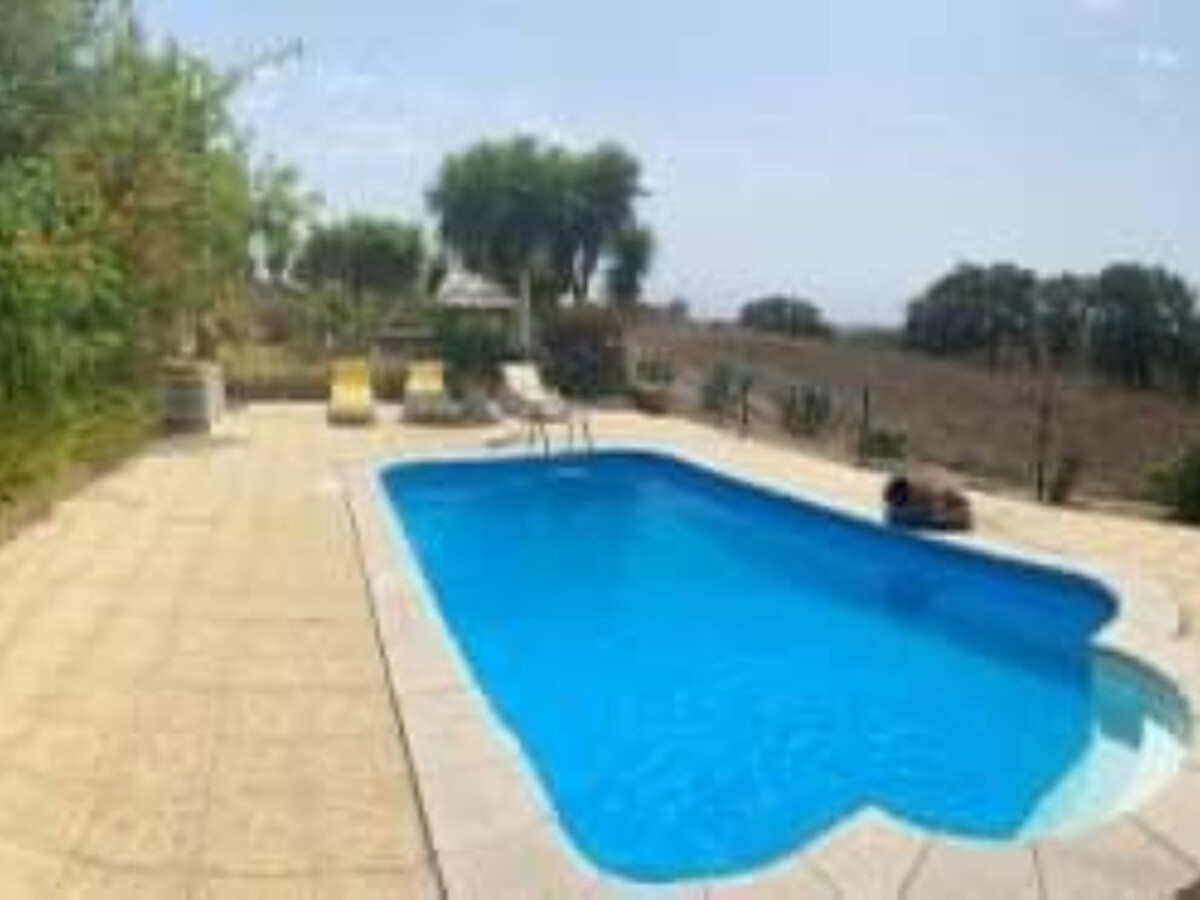 Gîte rural 6 chambres, piscine privée 8x4m à Almodôvar - Photo 2