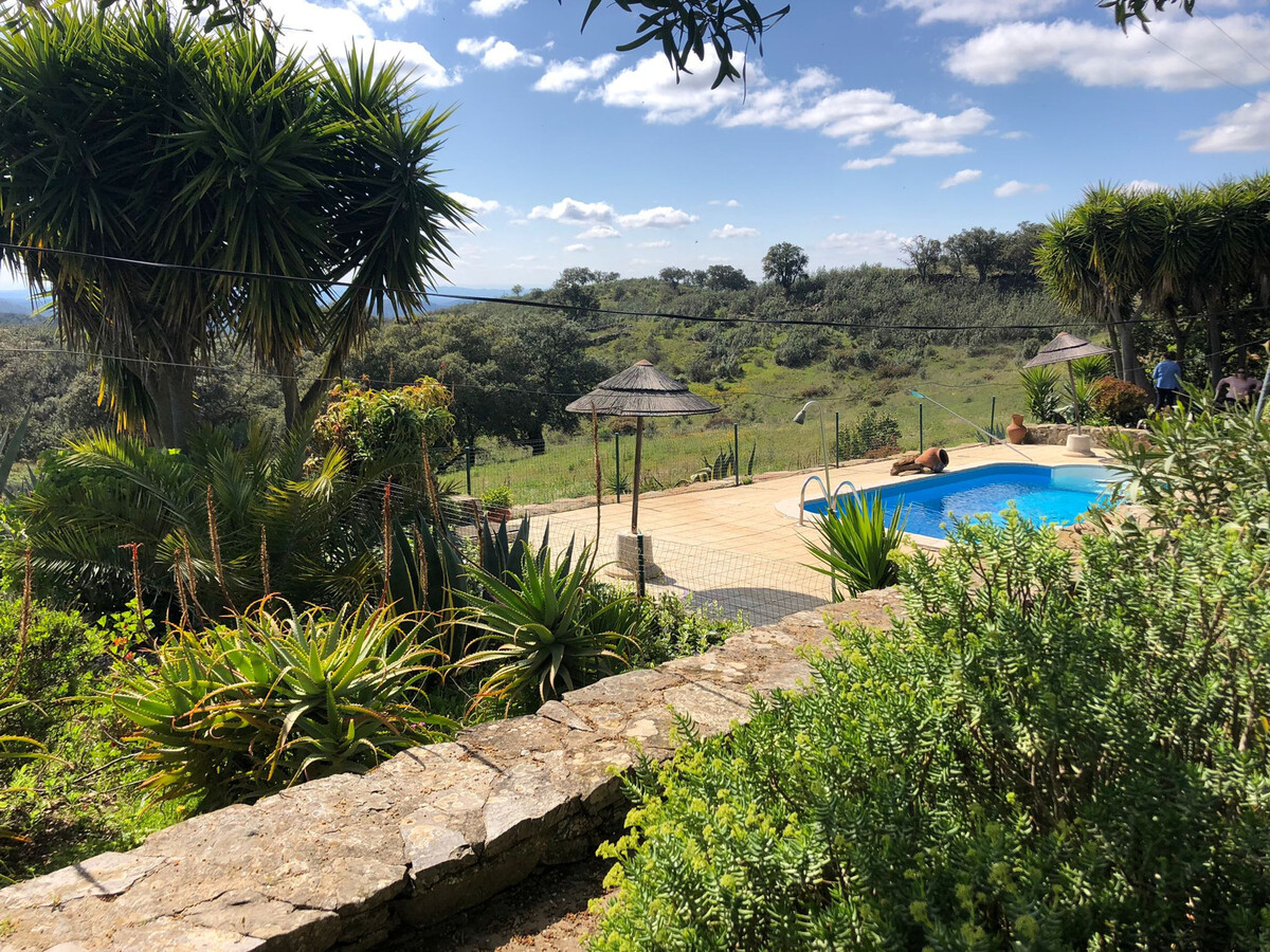 Gîte rural 6 chambres, piscine privée 8x4m à Almodôvar - Photo 5