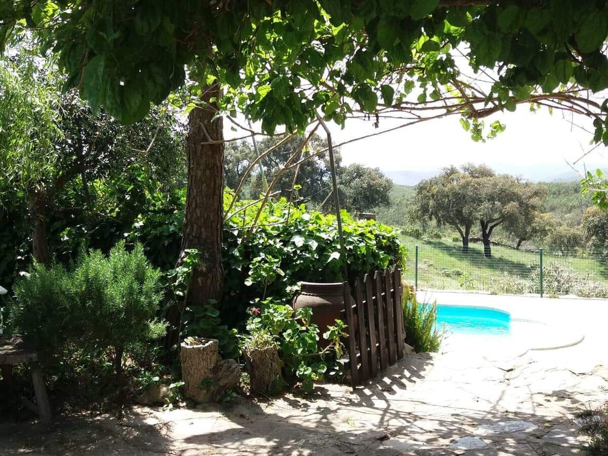 Gîte rural 6 chambres, piscine privée 8x4m à Almodôvar - Photo 6
