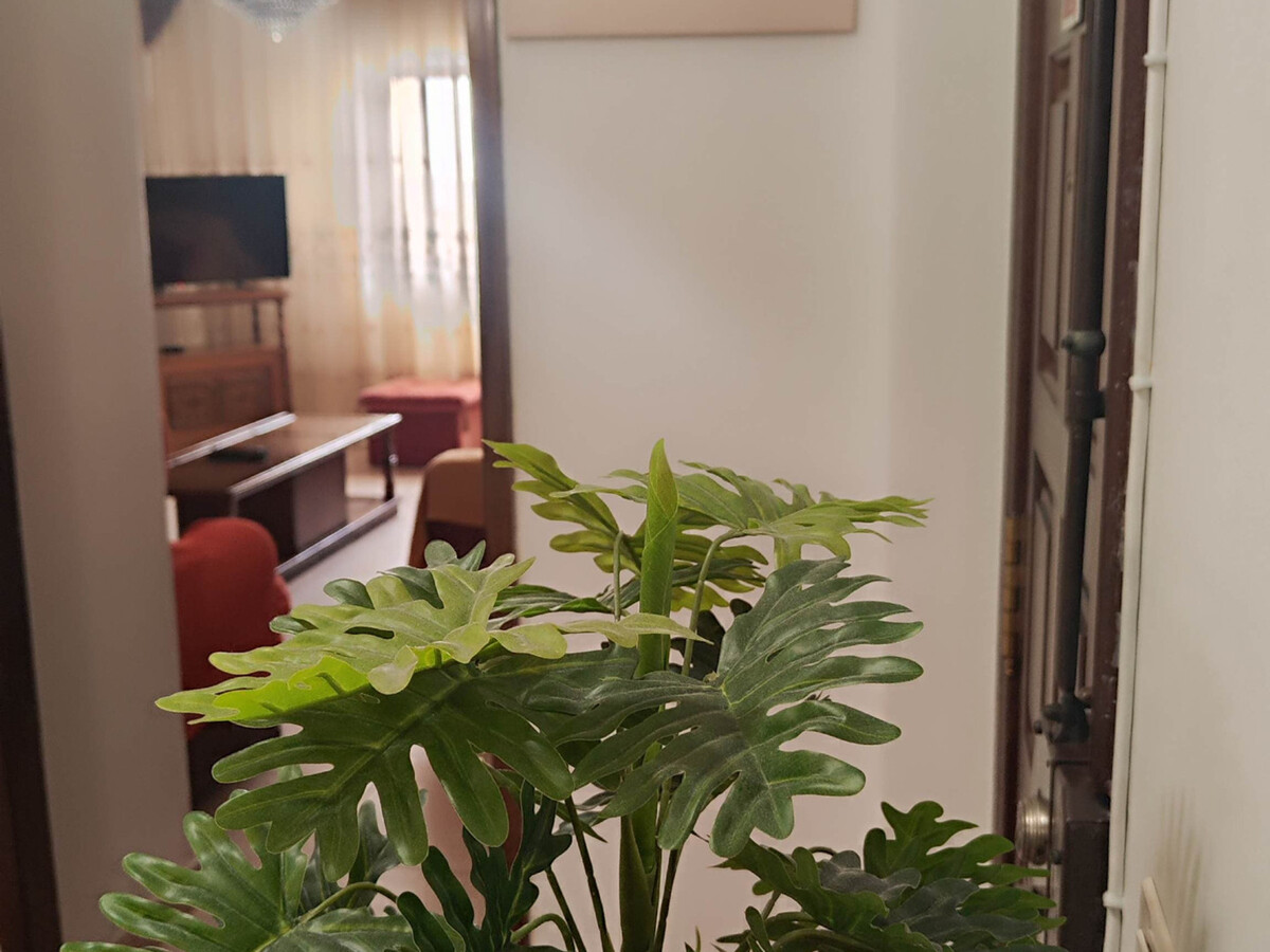 Appartement 160 m² avec terrasse et BBQ à Vila Real - Photo 30