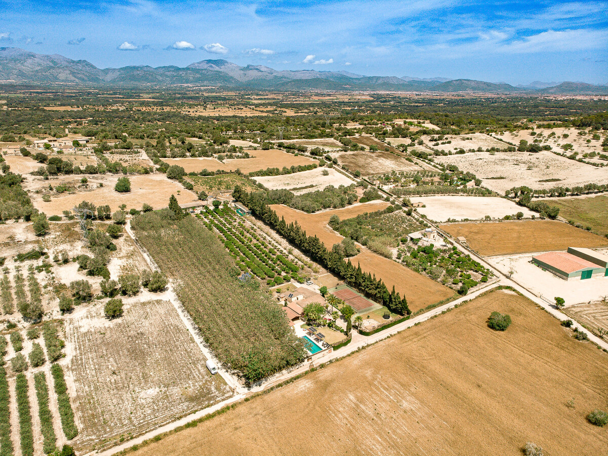 Villa 12 pers., 6 chambres, piscine et court de tennis à Llubí - Photo 33