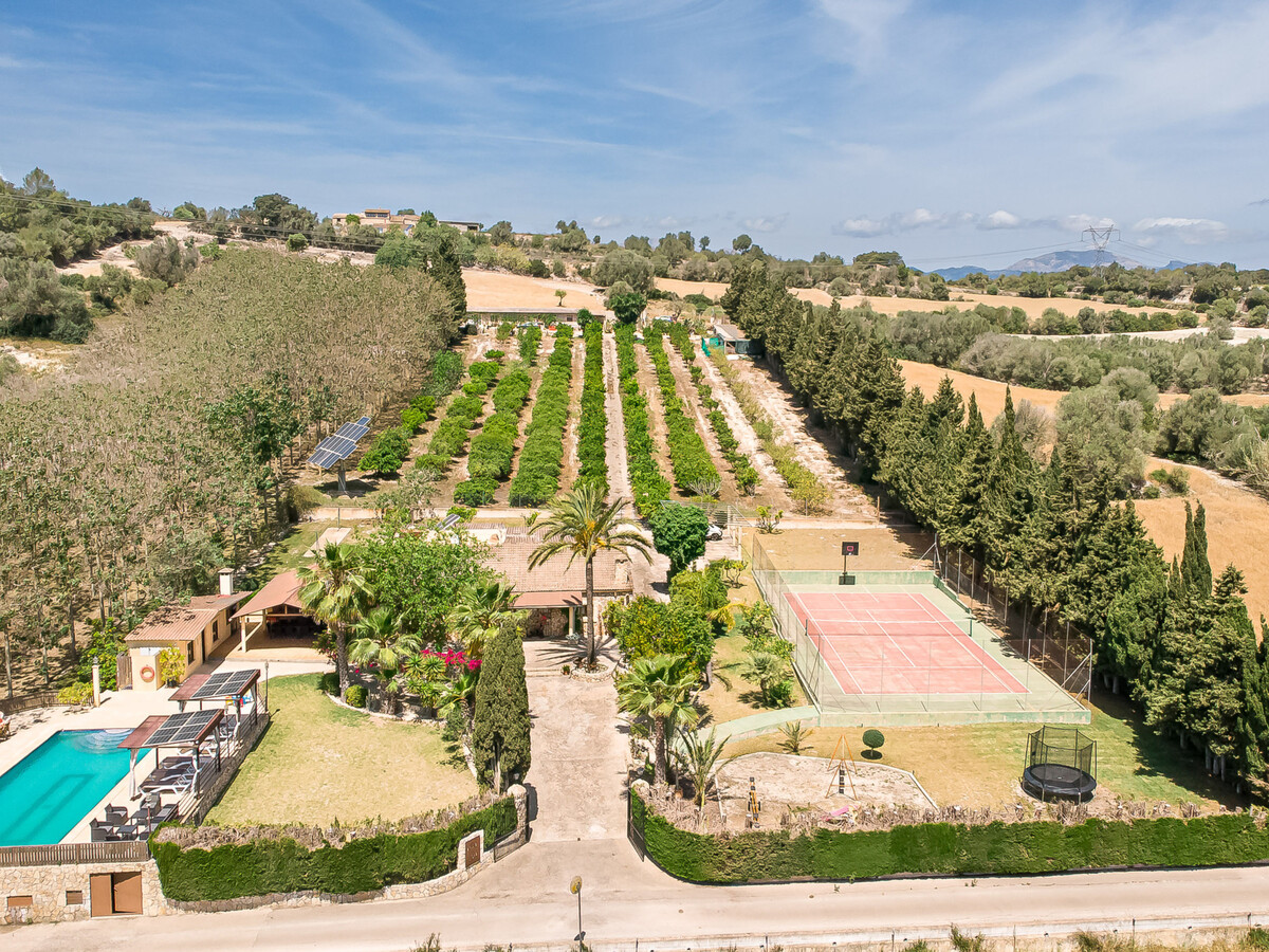 Villa 12 pers., 6 chambres, piscine et court de tennis à Llubí - Photo 34