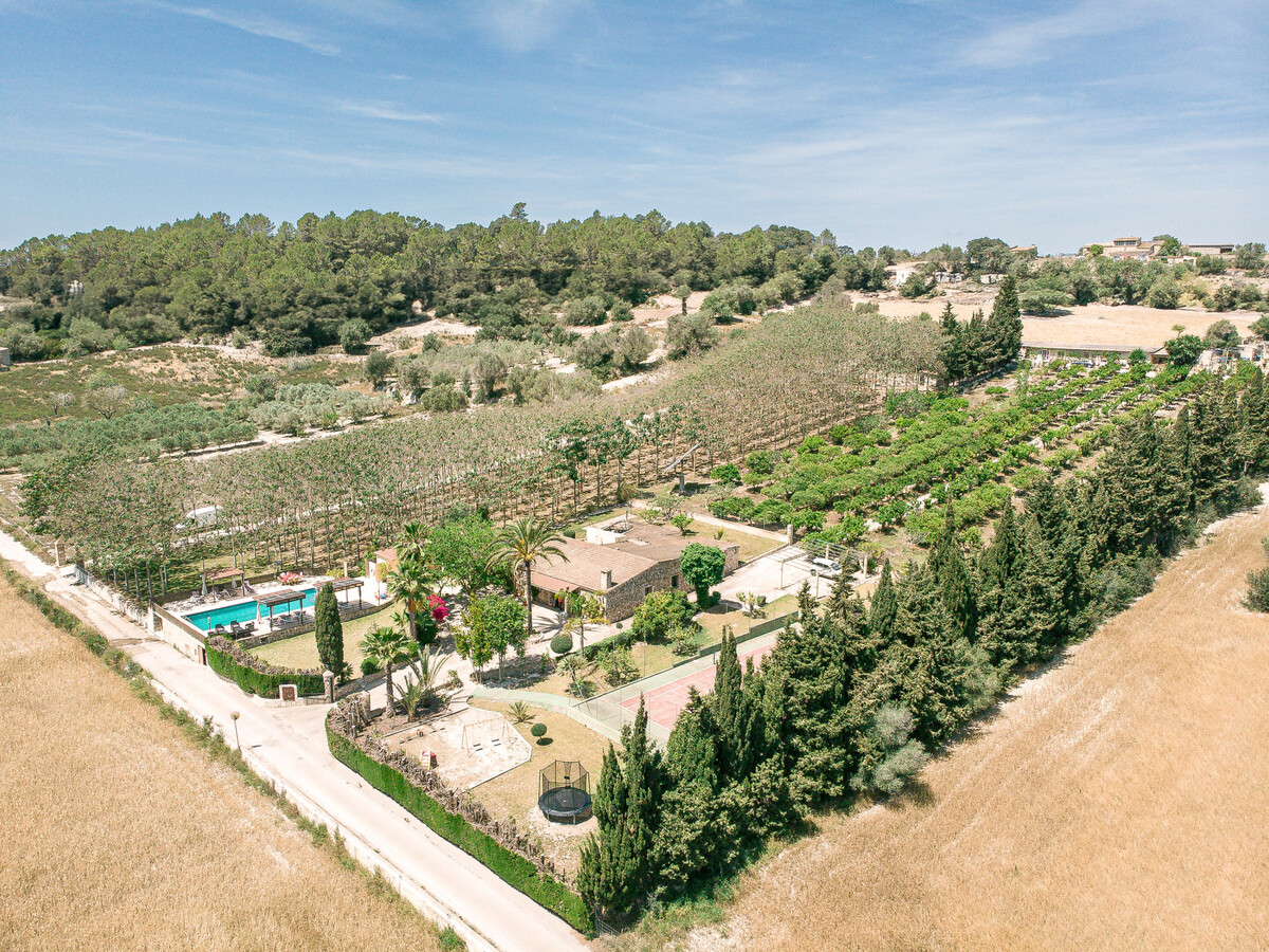 Villa 12 pers., 6 chambres, piscine et court de tennis à Llubí - Photo 36