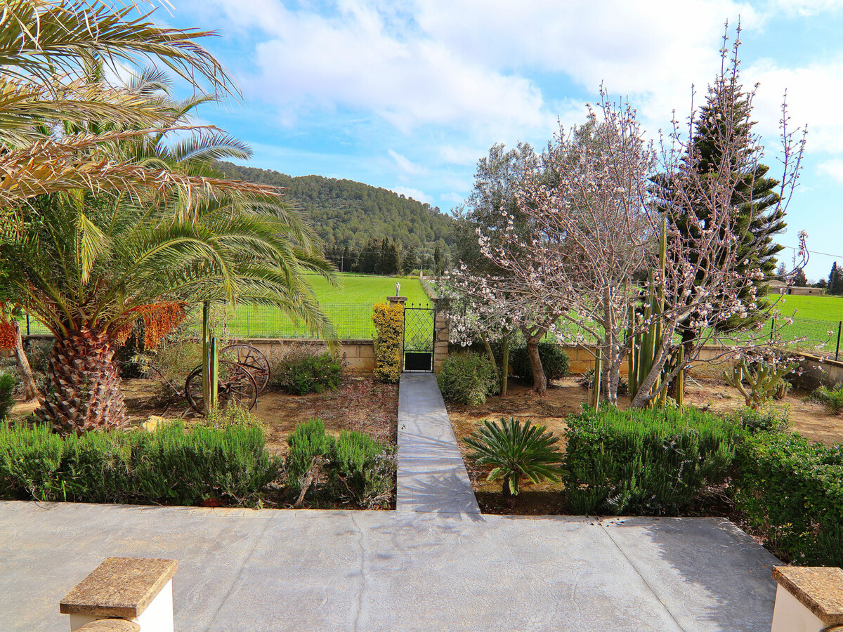 Villa rustique Sa Pobla, 3 chambres et piscine 4x8 - Photo 9