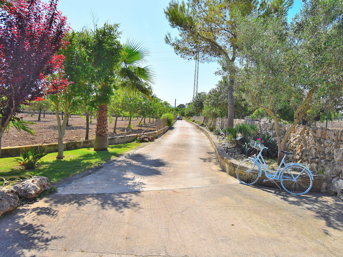 Villa 4 chambres, piscine 11x6m à Santa Margalida - Photo 25