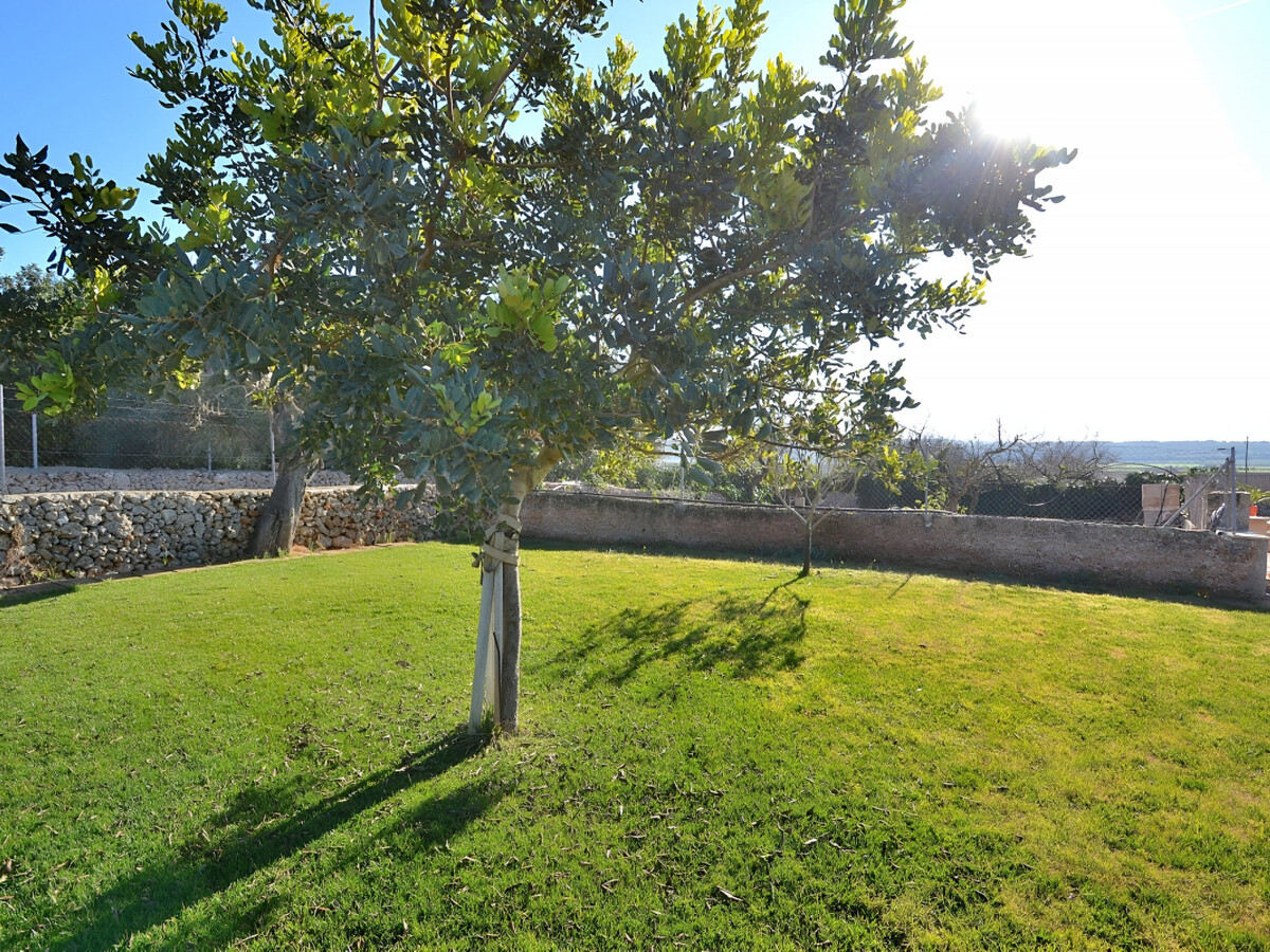 Gîte en pierre rurale à Ariany, piscine 9x4m - Photo 24