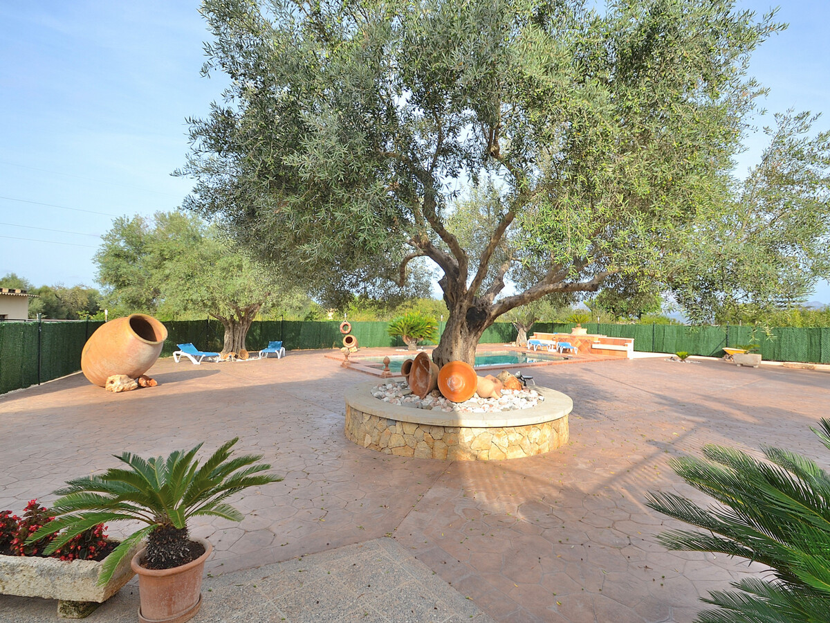 Finca Son Estrella à Muro : piscine 10x5m et jardin - Photo 3