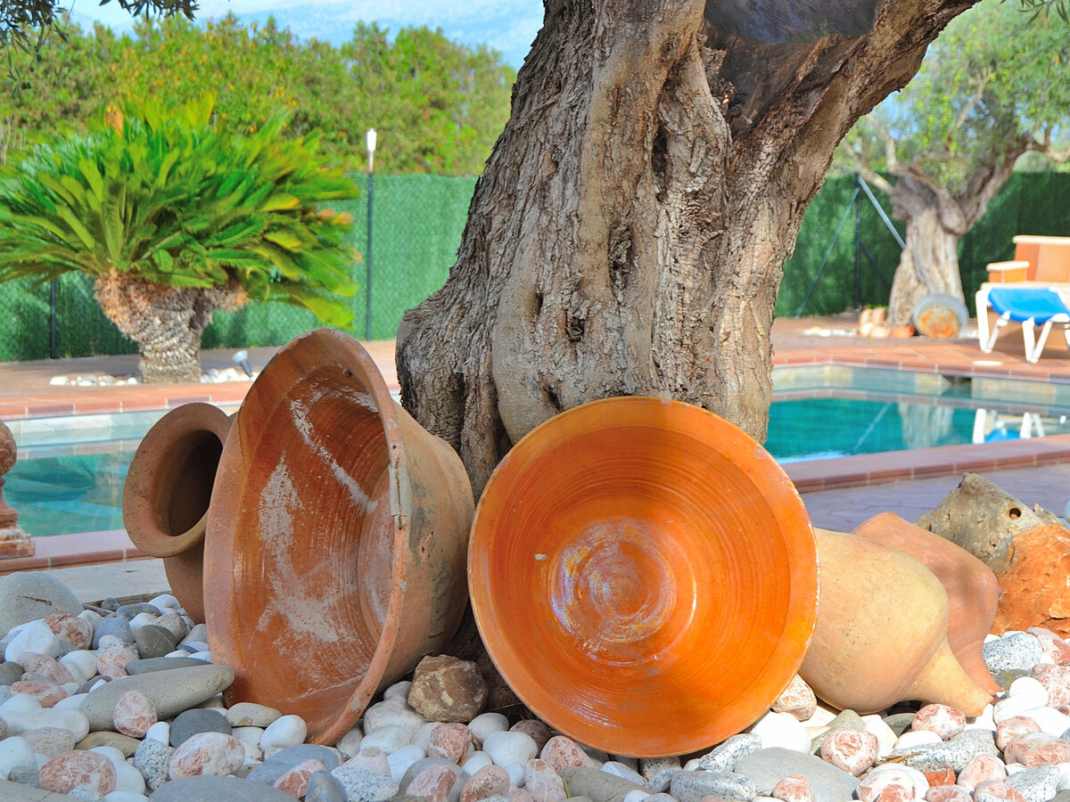 Finca Son Estrella à Muro : piscine 10x5m et jardin - Photo 11