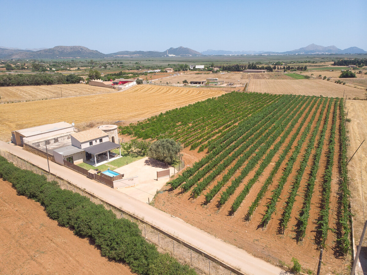Villa vignoble Muro avec piscine et visite cave incluse - Photo 7