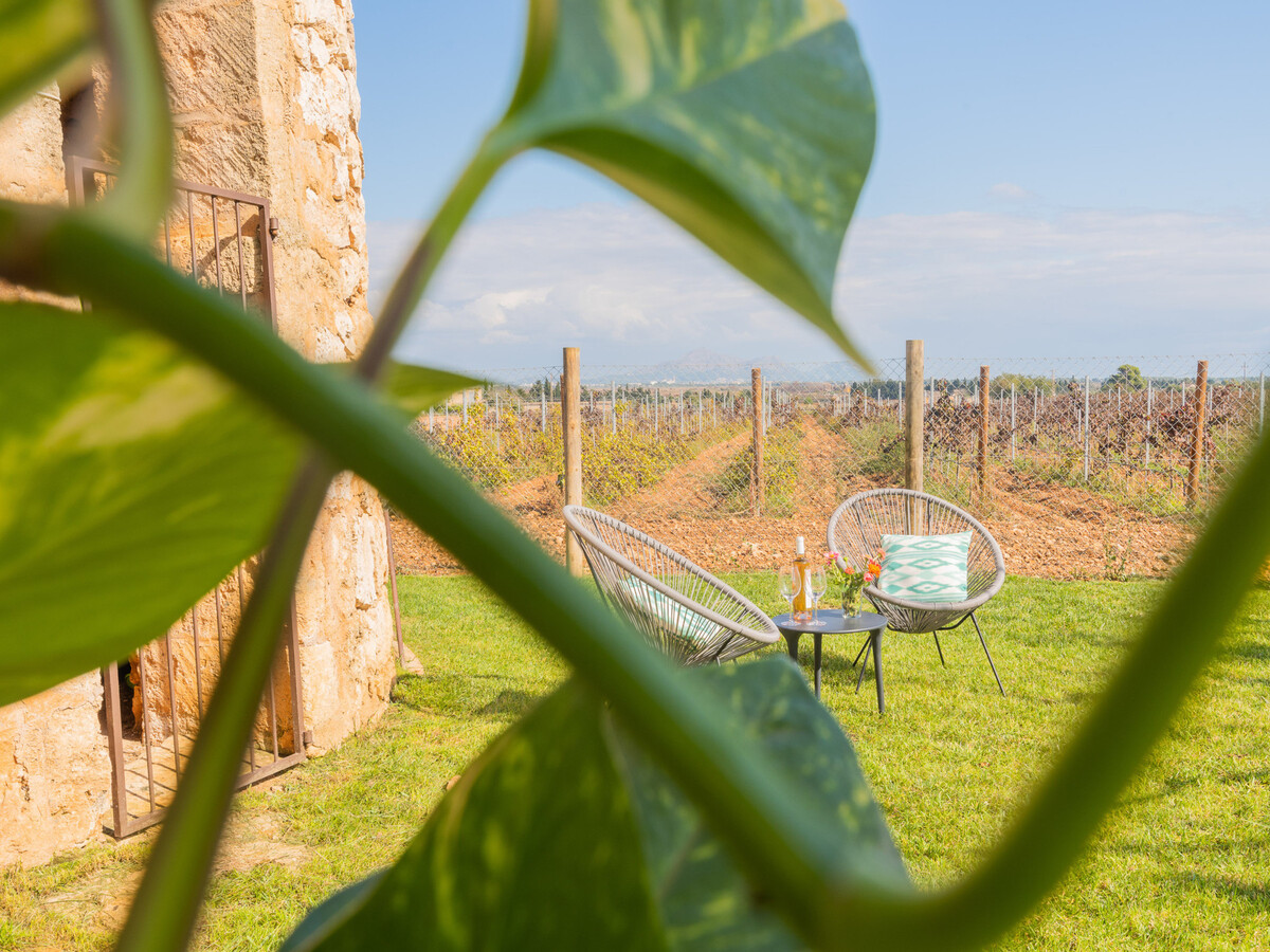 Villa vignoble Muro avec piscine et visite cave incluse - Photo 25