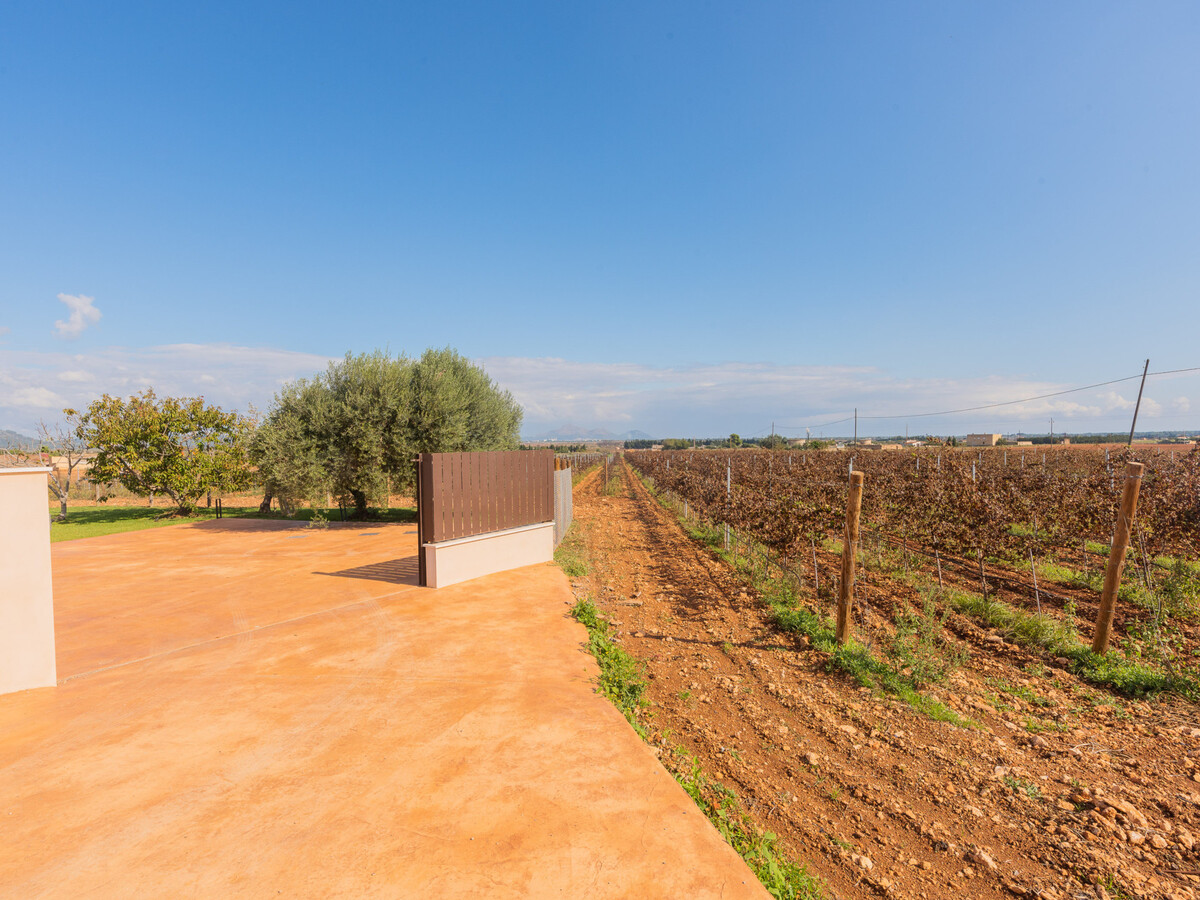 Villa vignoble Muro avec piscine et visite cave incluse - Photo 29