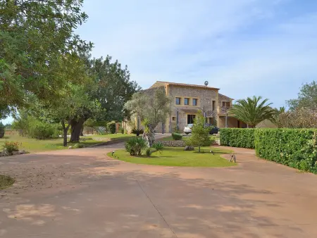 Villa majorquine 450m² piscine à Binissalem : photo 10