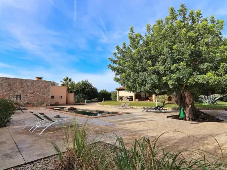 Villa majorquine 450m² piscine à Binissalem : photo 31