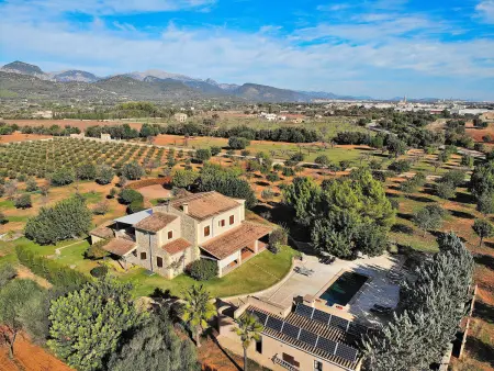 Villa majorquine 450m² piscine à Binissalem : photo 36