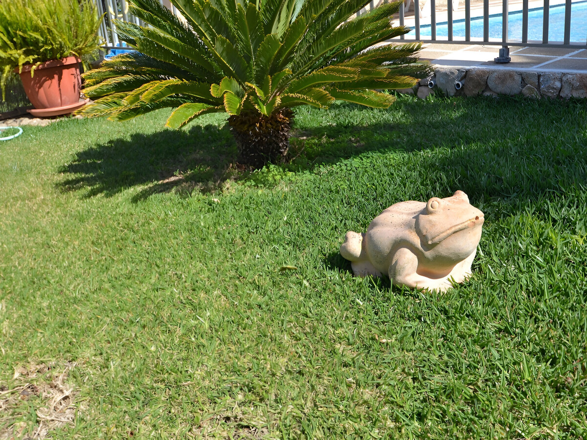 Tramuntana, gîte 6 pers. avec piscine privée à Inca - Photo 22