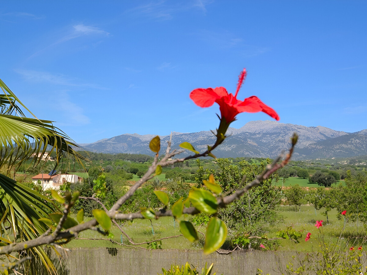 Tramuntana, gîte 6 pers. avec piscine privée à Inca - Photo 25