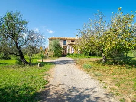 Finca 11 pers., piscine 12x5m et jardin méditerranéen à Búger : photo 35
