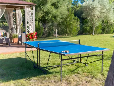 Finca familiale à Alcúdia : 2 chambres, piscine, jardin spacieux - Photo 22