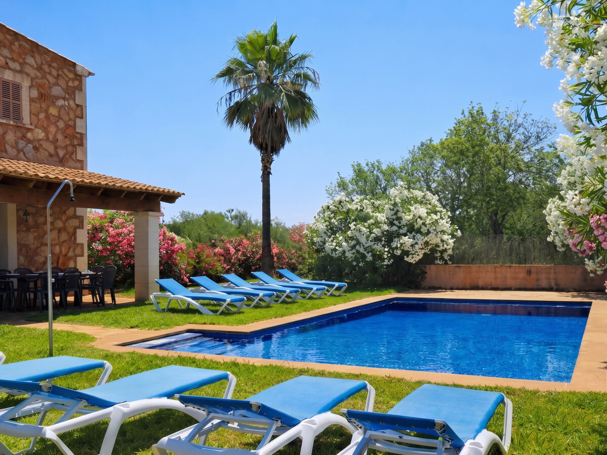 Maison Majorquine 6 pers. Piscine 10x5 m à Campos - Photo 5