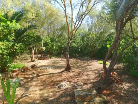 Finca majorquine 3 pers. à Campos, piscine 11x5 m : photo 18