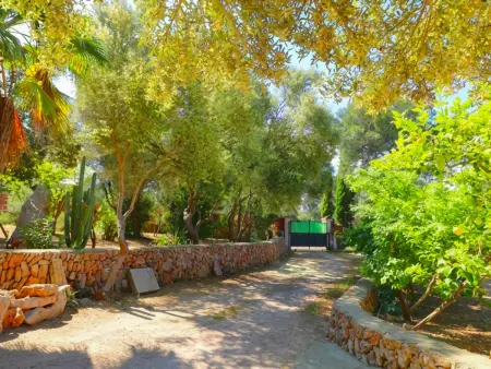 Finca majorquine 3 pers. à Campos, piscine 11x5 m : photo 19