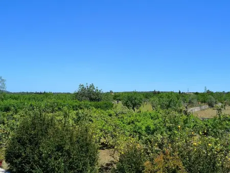 Finca paisible avec piscine à Sineu, Majorque, Gite 6 personnes à Sineu - Photo 26