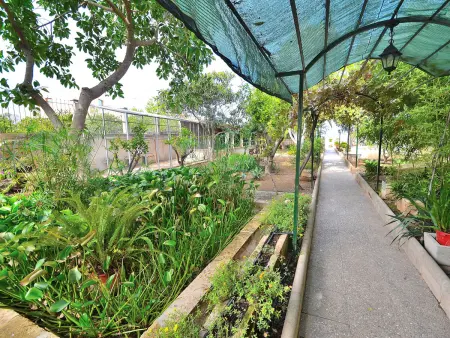 Maison de charme à Muro avec jardin d'hiver et piscine privée - Photo 28