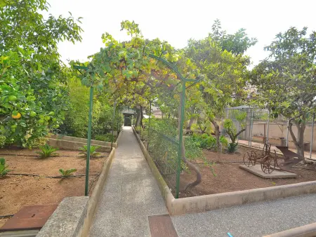 Maison de charme à Muro avec jardin d'hiver et piscine privée - Photo 30