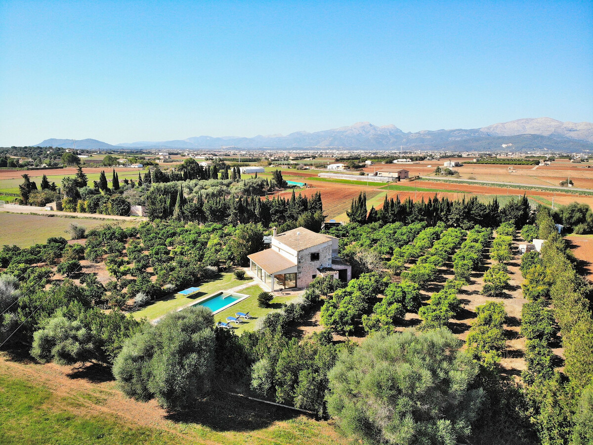 Villa 6 pers. à Muro, piscine 4x10m et jardin aux orangers - Photo 6