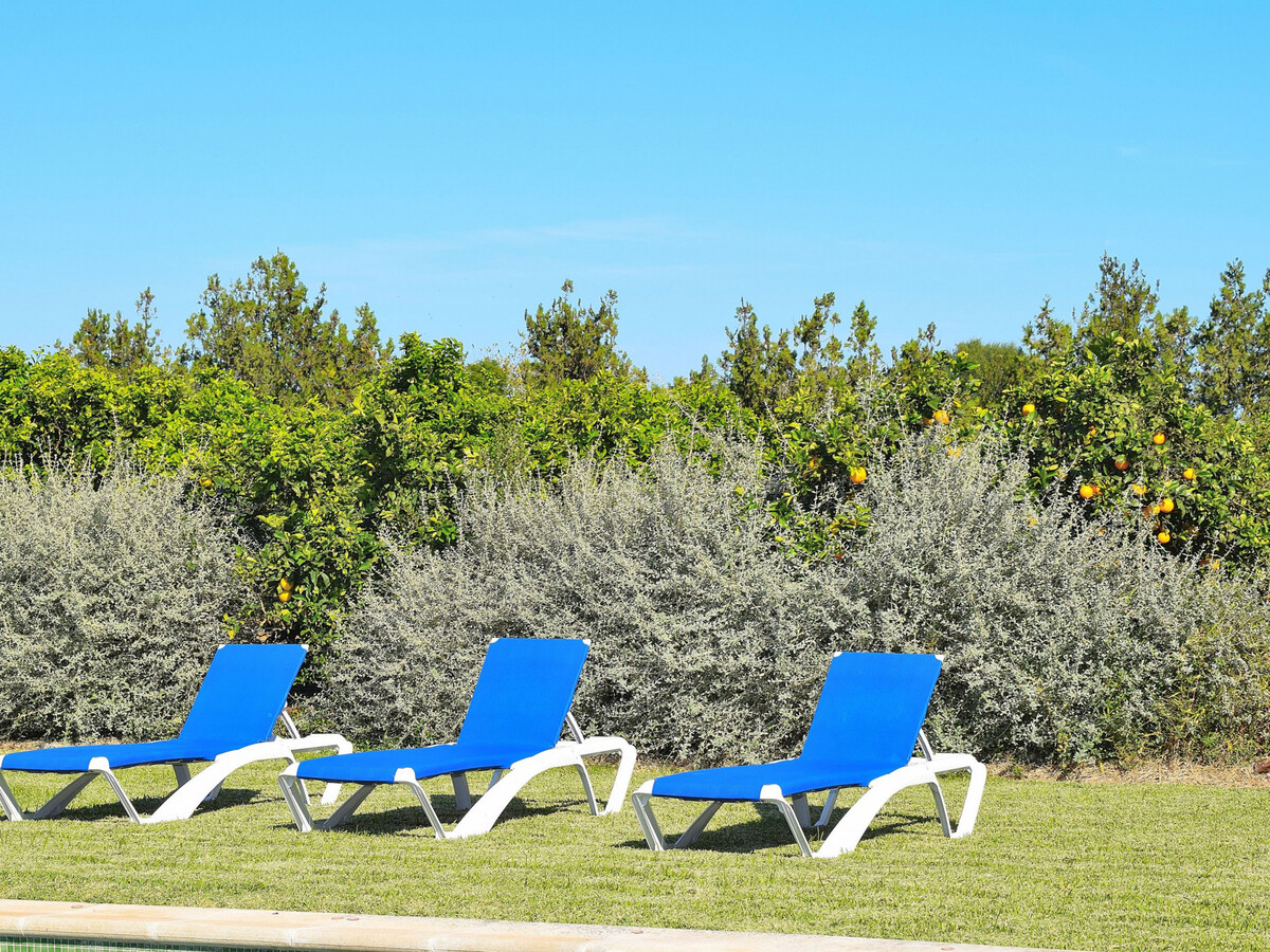 Villa 6 pers. à Muro, piscine 4x10m et jardin aux orangers - Photo 8