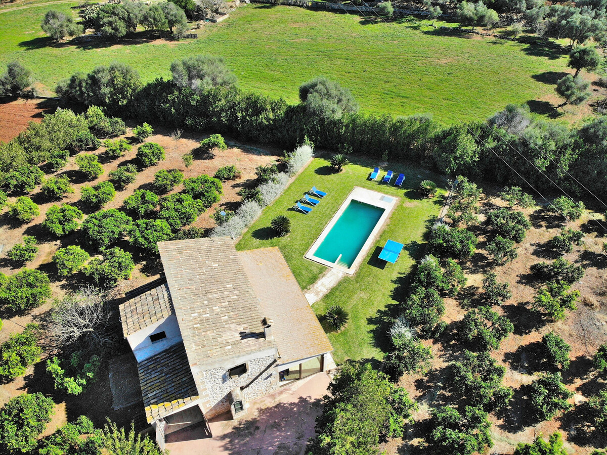 Villa 6 pers. à Muro, piscine 4x10m et jardin aux orangers - Photo 24
