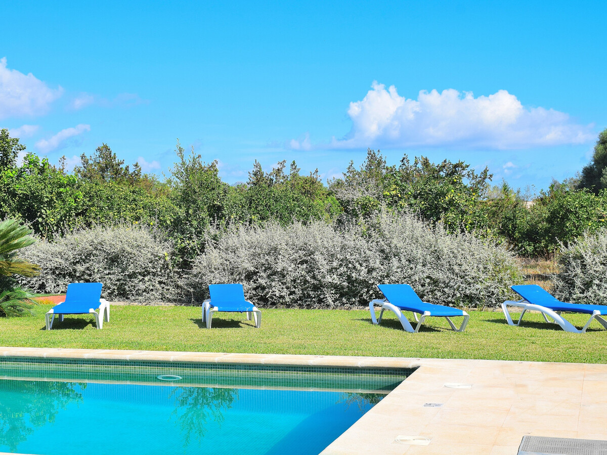 Villa 6 pers. à Muro, piscine 4x10m et jardin aux orangers - Photo 33
